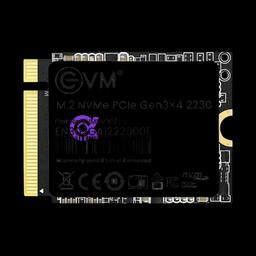 1 TB M.2 NVME 2230 SSD EVM