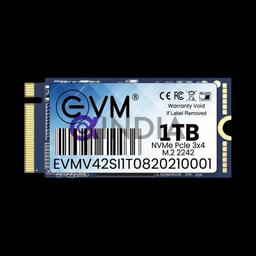 1 TB M.2 NVME 2242 SSD EVM