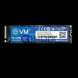 1 TB M.2 NVME 2280 SSD EVM