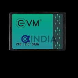2 TB SSD Sata EVM