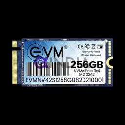 256 GB M.2 NVME 2242 SSD EVM