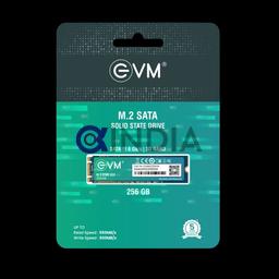 256 GB M.2 NVME 2280 SSD EVM