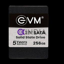 256 GB SSD Sata EVM