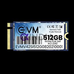 512 GB M.2 NVME 2242 SSD EVM